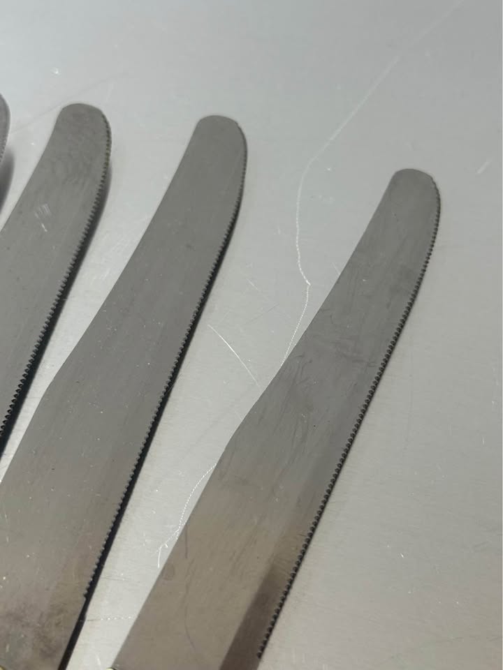 Set of 10 Vintage Italian knives with ivory handle