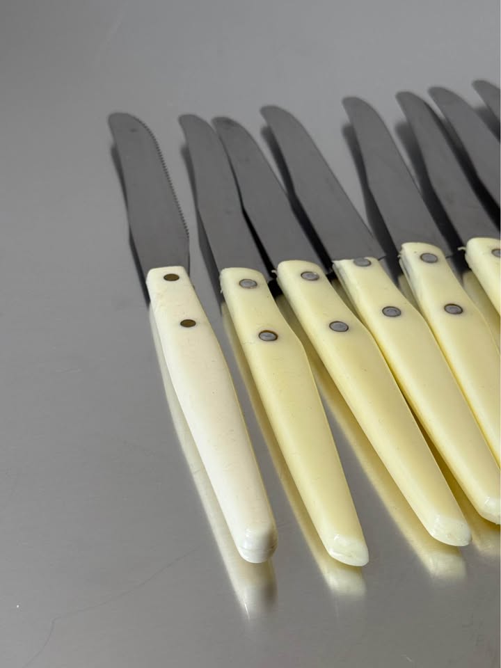 Set of 10 Vintage Italian knives with ivory handle