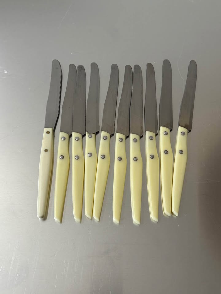 Set of 10 Vintage Italian knives with ivory handle